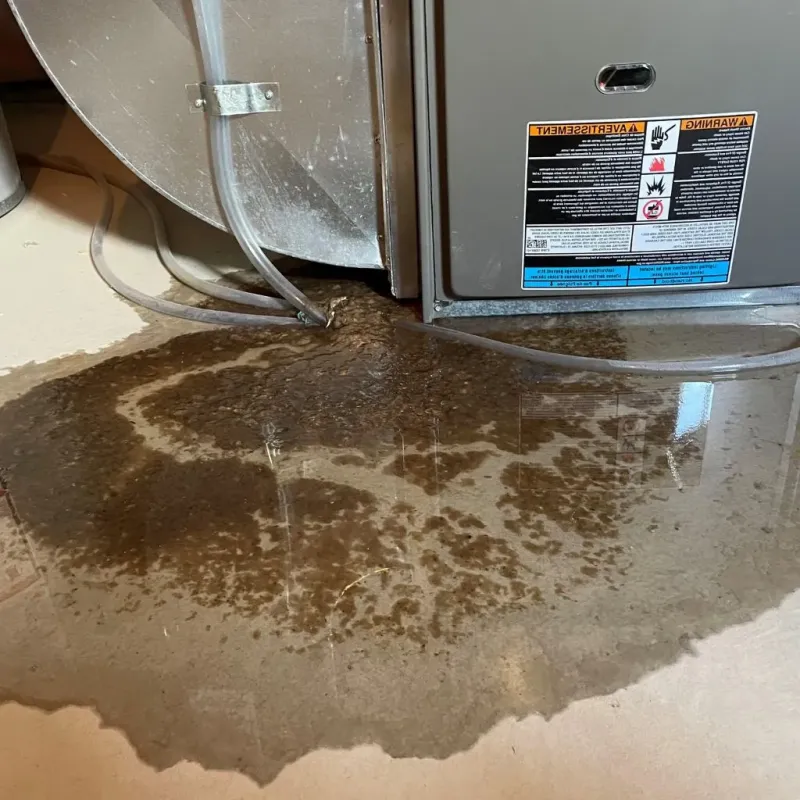 Pipe Burst and Leak Restoration in Logan, UT